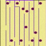 Download Labyrinth Cell Phone Game